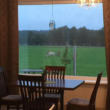 Gæstehus More Guesthouse